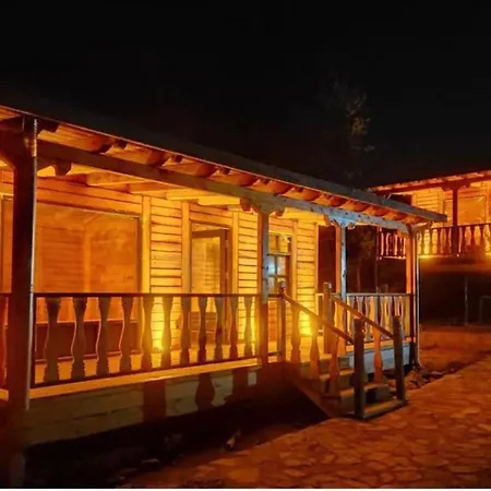 Bungalow Life Garden Hotel