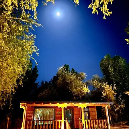 Bungalow Life Garden *