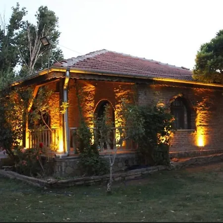 Bungalow Life Garden